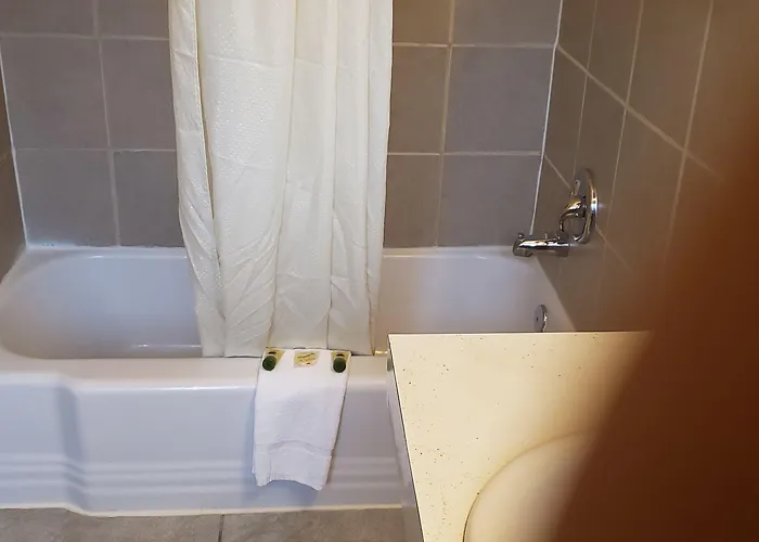 Motel Alamo